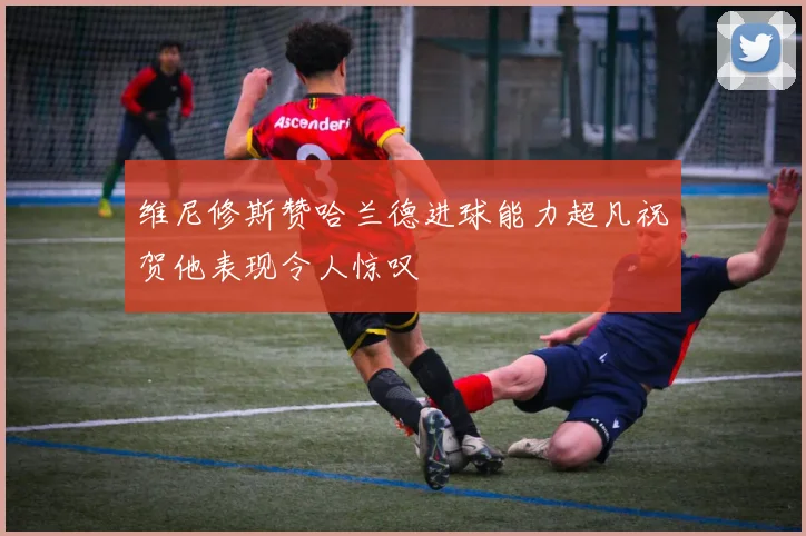 维尼修斯赞哈兰德进球能力超凡祝贺他表现令人惊叹